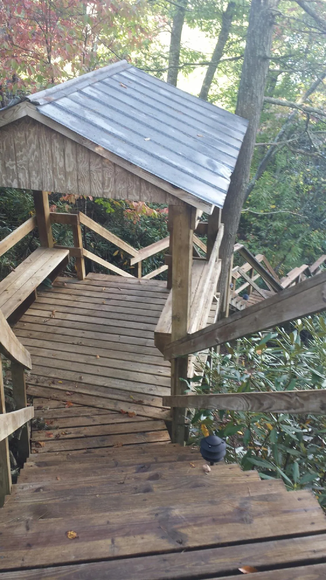 Metal roofed shelter over wooden steps on a wooded walkway — Skylight Repair & Installation work by our crew in Riverside